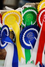 topPageExhibitor